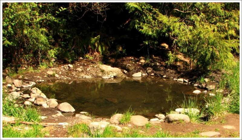 Secluded pool