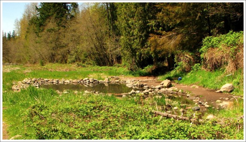Looking over the main pools toward the trail