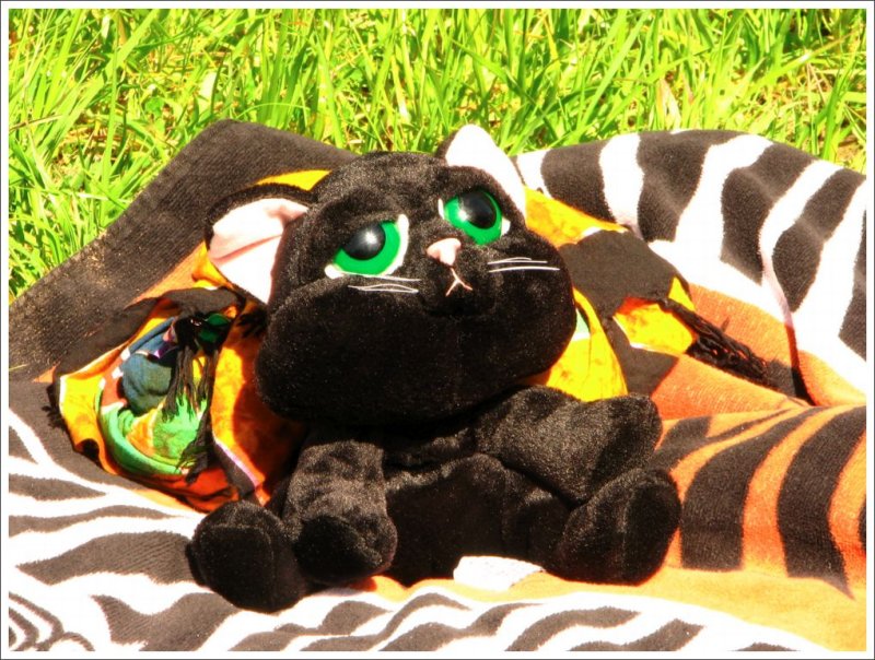 Sunning