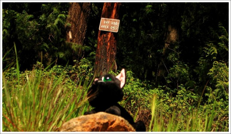 But don't get caught here at night! ($500 fine!)