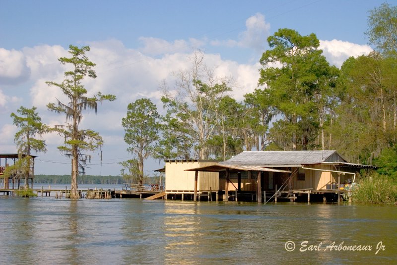 Lake Verret Camp