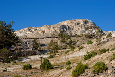 Mammoth  Springs