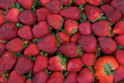Louisiana Strawberries