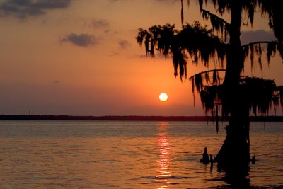 Lake Verret Sunset