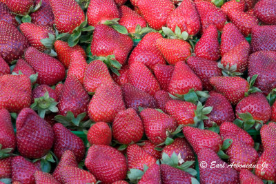 Ponchatoula Strawberry Festival 2007