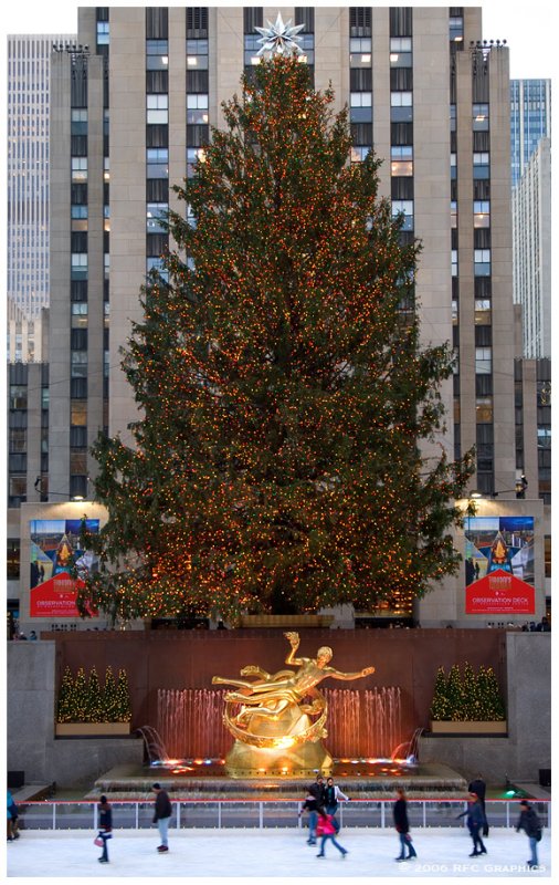 Rockefeller Center Christmas Tree  1
