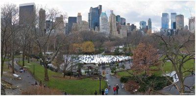 January at Wollman Rink