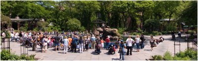 Central Park Zoo