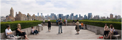 Skyline from the Metropolitan 1