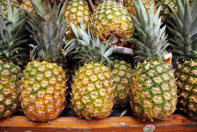 DSC_0746 Pineapples.jpg
