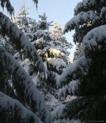 03012007 Snow Front View 1 800c.jpg