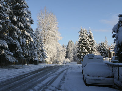 03012007 Snow Front Street 1 800.jpg