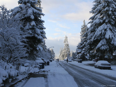 03012007 Snow Front Street 2 800cjpg.jpg