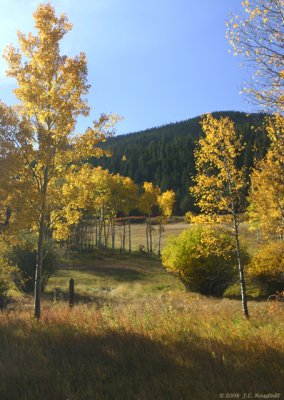 Colorado IMG_5388