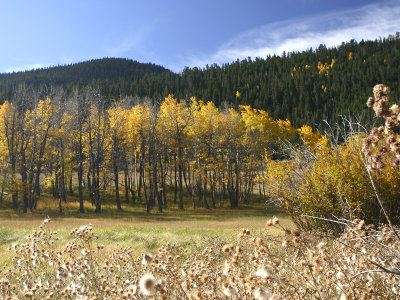 Colorado IMG_5389