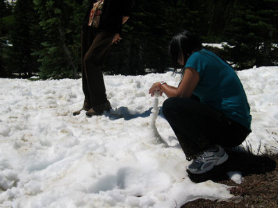 IMG_9863.jpg