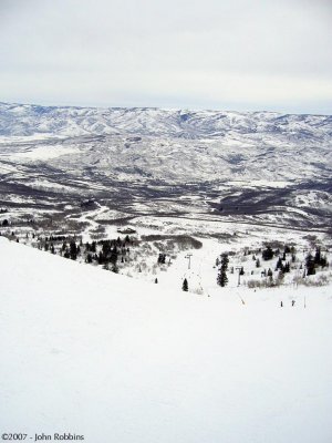 Snowbasin - Coyote Bowl