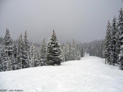 Brighton - Sunshine Powder
