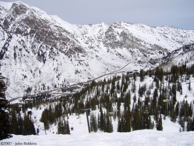 Snowbird - Bananas View