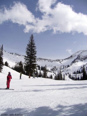 Snowbird - Bassackwards