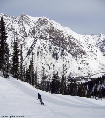 Snowbird - Lower Bassackwards
