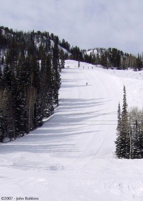 Snowbird - Lower Bassackwards Steep