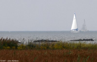 Chesapeake Bay Sailboats
