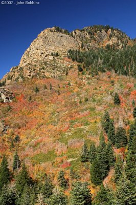 Colorful Hillside