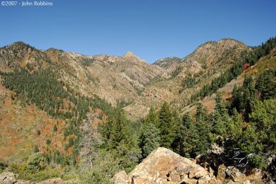 Mill B North Fork Trail View