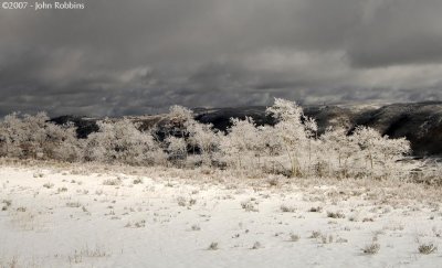 Skyline Drive