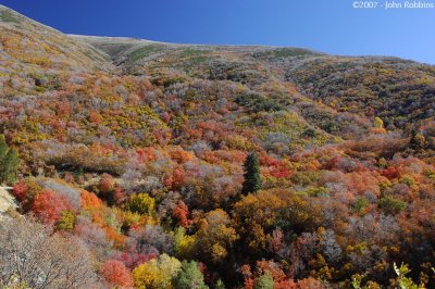 Farmington Canyon Colors