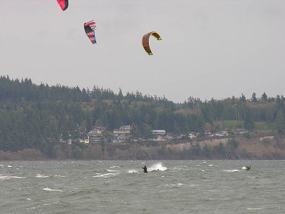 2006111917.jpg