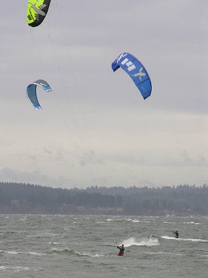 2006111964.jpg