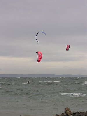 2006111966.jpg