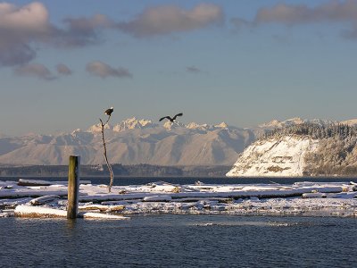2006112855.jpg