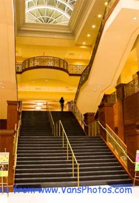 IMG_7571_E1C80Sp80Lu50L1.1Sh9Mc20Co9TCr.jpg