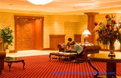 IMG_7598_E.8C60Sp80Lu50L1.2Sh20H2Co9TCr.jpg