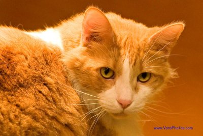 IMG_0152_edited-1Cr4x6.jpg