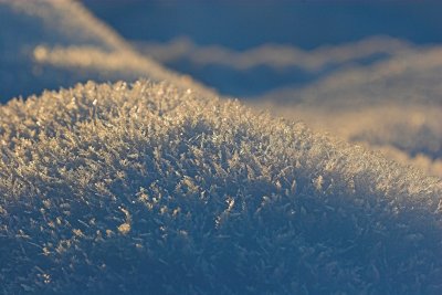 Ice Crystals