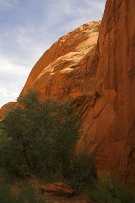 Rock formation with shrub