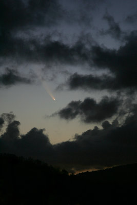 The McNaught Comet