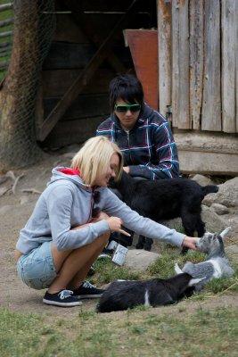 Playing with the goats