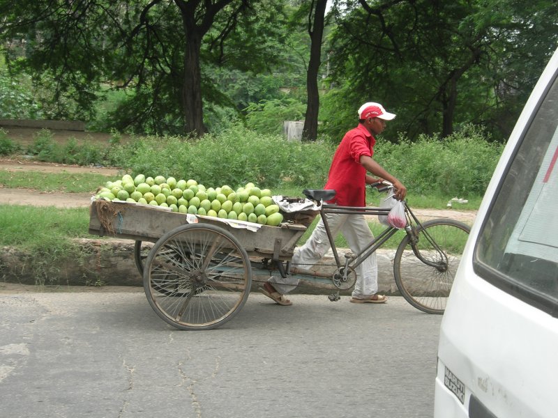 Mangos