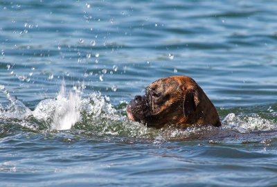 Magie swims 2s.jpg