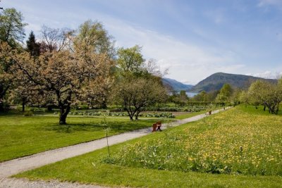 Rosendal-11