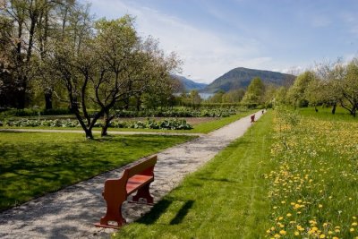Rosendal-12