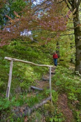 Rosendal-19