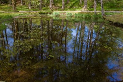 Rosendal-20
