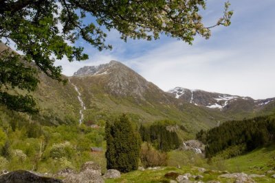 Rosendal-22