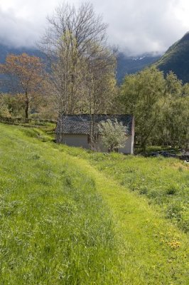 Rosendal-35